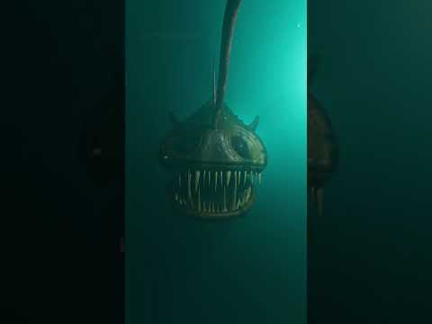 Deep sea anglerfish 🐠 #shorts #cg #cgi #scary #horror #ocean #nature #anglerfish